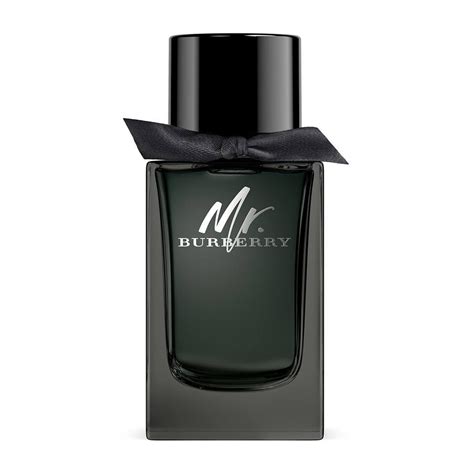 profumo mr burberry uomo note|mr burberry cologne.